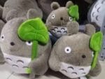 Totoro Plush with lotus leaf Ghibli Store ghibli.store