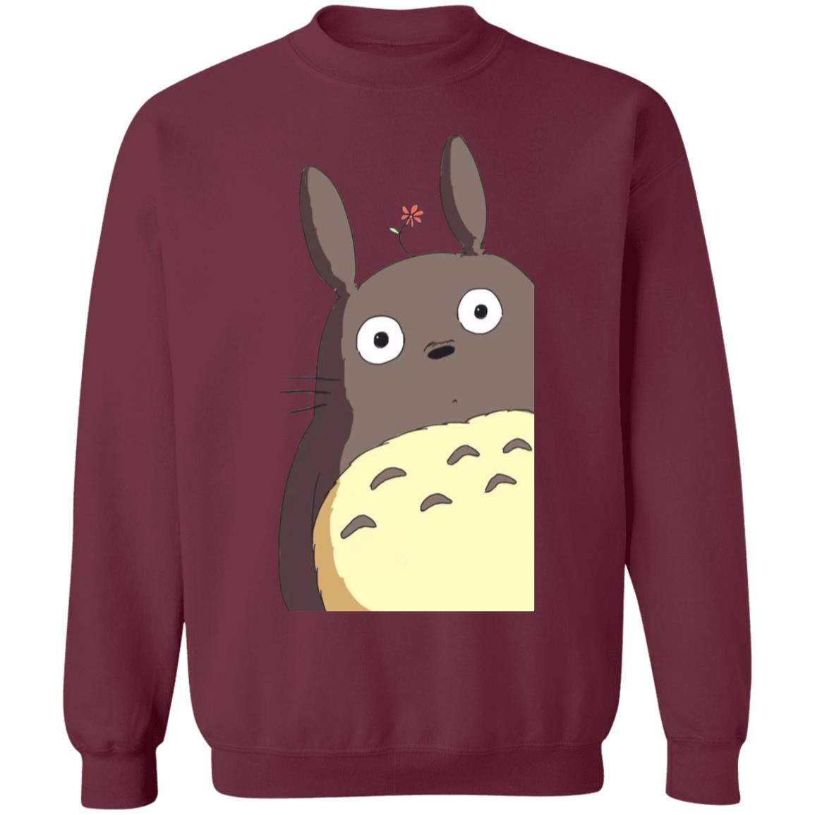 Totoro pullover sale