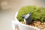 Kawaii Totoro Garden Miniature Decoration Figures 2pcs/set